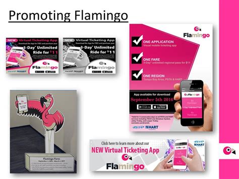 flamingo fares smart card tvm|tampa bay flamingo card balance.